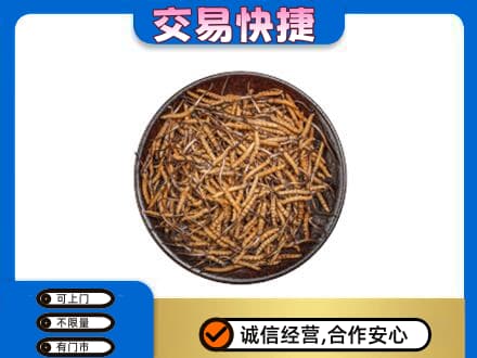 济宁市高价回收散虫草